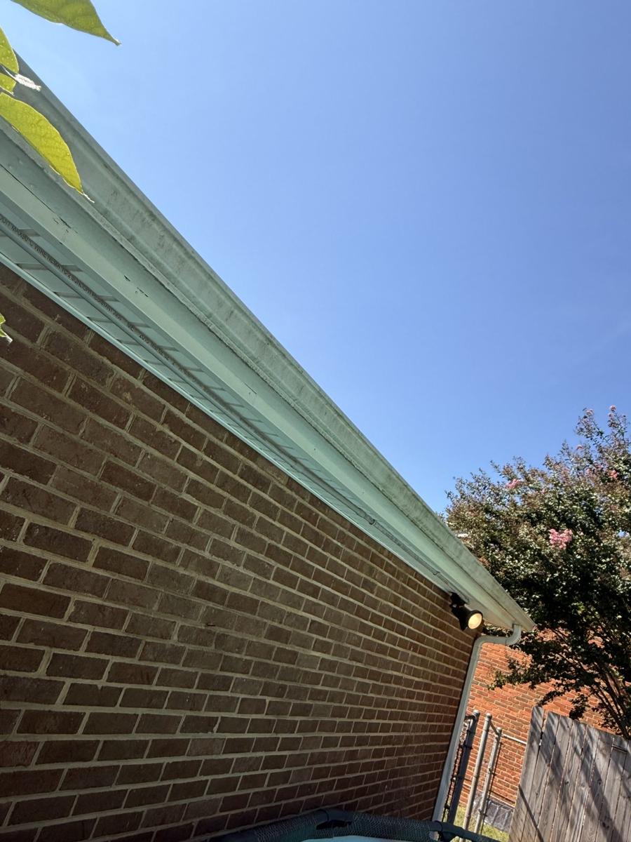 Gutter exterior before cleaning